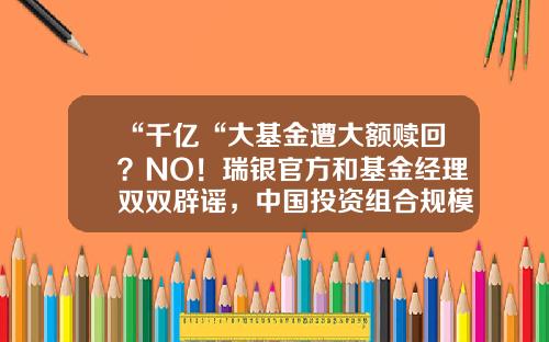 “千亿“大基金遭大额赎回？NO！瑞银官方和基金经理双双辟谣，中国投资组合规模无异动#热点复盘#-官方基金