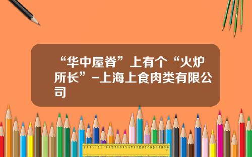 “华中屋脊”上有个“火炉所长”-上海上食肉类有限公司