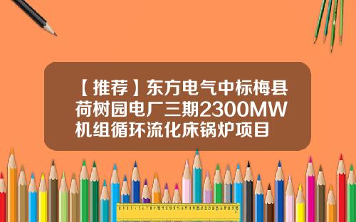【推荐】东方电气中标梅县荷树园电厂三期2300MW机组循环流化床锅炉项目
