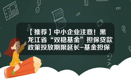 【推荐】中小企业注意！黑龙江省“双稳基金”担保贷款政策投放期限延长-基金担保公司