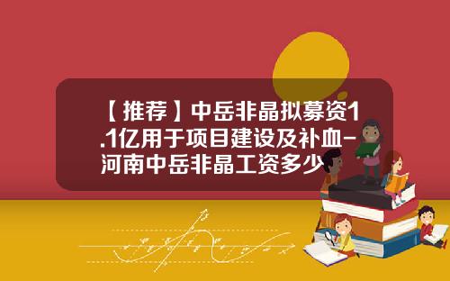 【推荐】中岳非晶拟募资1.1亿用于项目建设及补血-河南中岳非晶工资多少