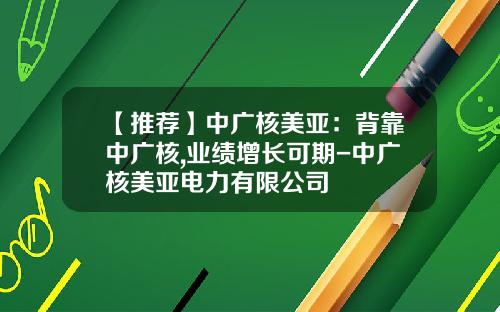 【推荐】中广核美亚：背靠中广核,业绩增长可期-中广核美亚电力有限公司