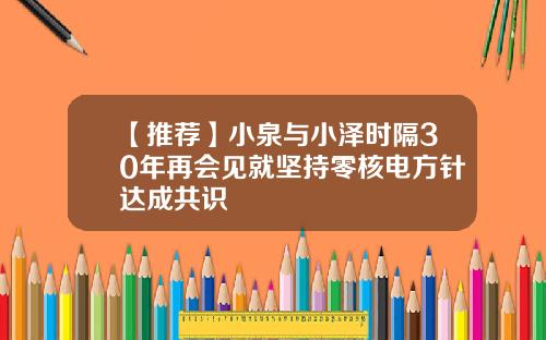 【推荐】小泉与小泽时隔30年再会见就坚持零核电方针达成共识