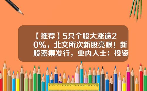 【推荐】5只个股大涨逾20%，北交所次新股亮眼！新股密集发行，业内人士：投资者打新很理性-深次新股基金