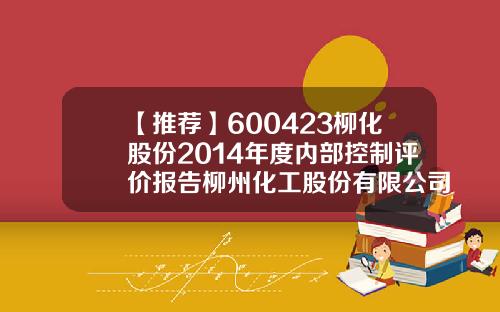 【推荐】600423柳化股份2014年度内部控制评价报告柳州化工股份有限公司信用评级