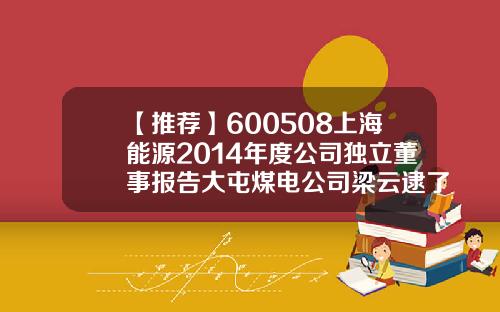 【推荐】600508上海能源2014年度公司独立董事报告大屯煤电公司梁云逮了