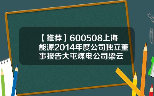 【推荐】600508上海能源2014年度公司独立董事报告大屯煤电公司梁云