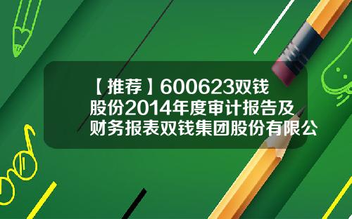 【推荐】600623双钱股份2014年度审计报告及财务报表双钱集团股份有限公司2013年报