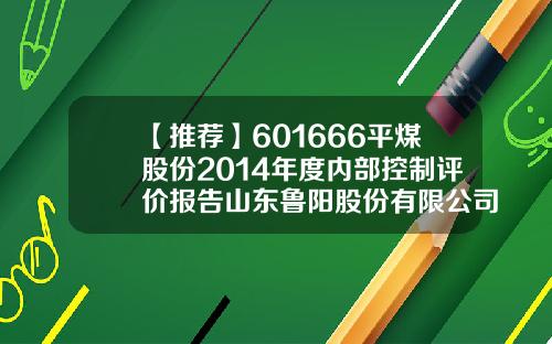 【推荐】601666平煤股份2014年度内部控制评价报告山东鲁阳股份有限公司2013财务年报