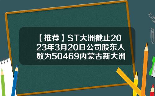 【推荐】ST大洲截止2023年3月20日公司股东人数为50469内蒙古新大洲能源科技有限公司