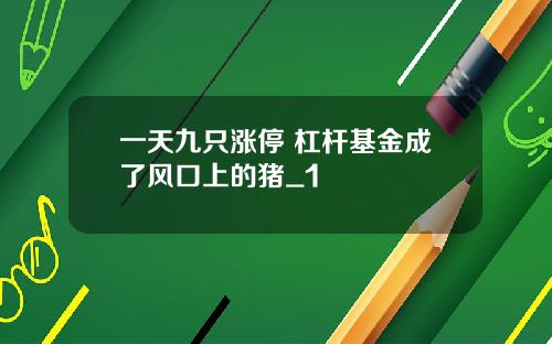 一天九只涨停 杠杆基金成了风口上的猪_1