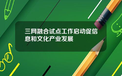 三网融合试点工作启动促信息和文化产业发展
