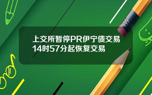 上交所暂停PR伊宁债交易14时57分起恢复交易