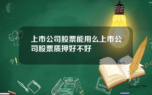 上市公司股票能用么上市公司股票质押好不好