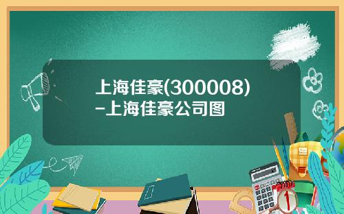 上海佳豪(300008)-上海佳豪公司图