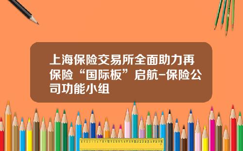 上海保险交易所全面助力再保险“国际板”启航-保险公司功能小组