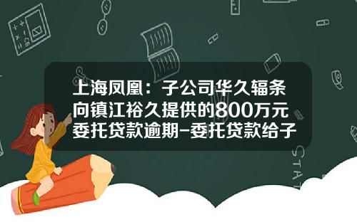 上海凤凰：子公司华久辐条向镇江裕久提供的800万元委托贷款逾期-委托贷款给子公司
