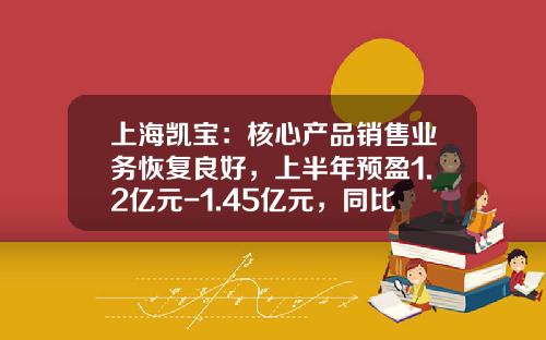 上海凯宝：核心产品销售业务恢复良好，上半年预盈1.2亿元-1.45亿元，同比增45%-75%-广州帝昊资讯股票