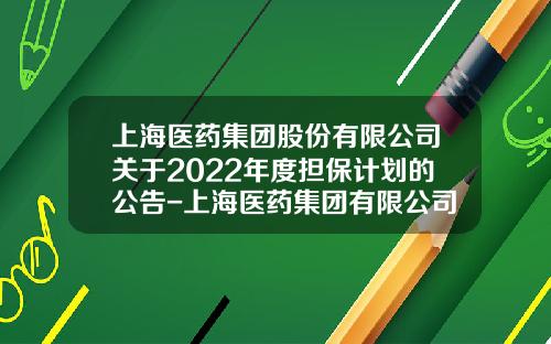 上海医药集团股份有限公司关于2022年度担保计划的公告-上海医药集团有限公司