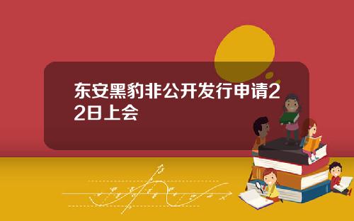 东安黑豹非公开发行申请22日上会