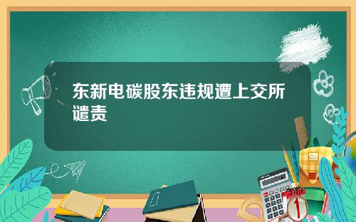 东新电碳股东违规遭上交所谴责