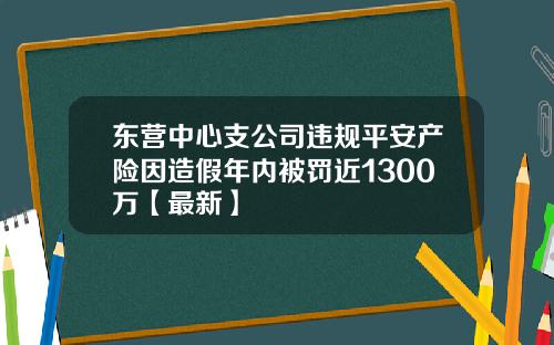 东营中心支公司违规平安产险因造假年内被罚近1300万【最新】