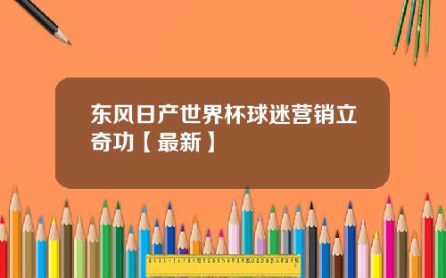 东风日产世界杯球迷营销立奇功【最新】