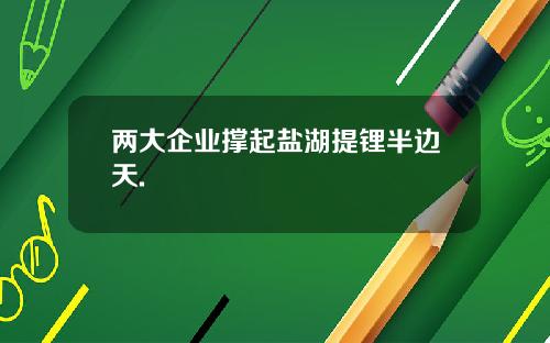 两大企业撑起盐湖提锂半边天.