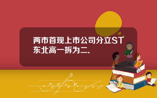 两市首现上市公司分立ST东北高一拆为二.
