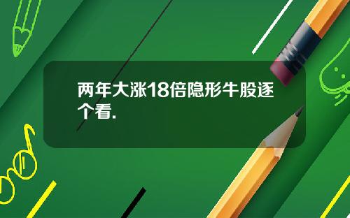 两年大涨18倍隐形牛股逐个看.
