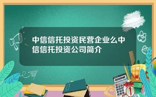 中信信托投资民营企业么中信信托投资公司简介