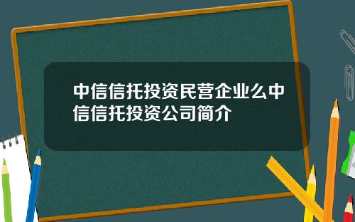 中信信托投资民营企业么中信信托投资公司简介
