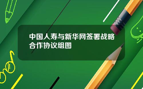 中国人寿与新华网签署战略合作协议组图
