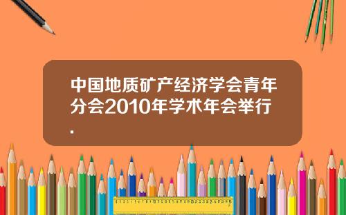中国地质矿产经济学会青年分会2010年学术年会举行.