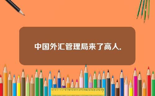 中国外汇管理局来了高人.