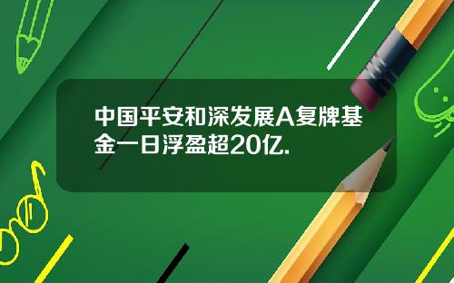 中国平安和深发展A复牌基金一日浮盈超20亿.