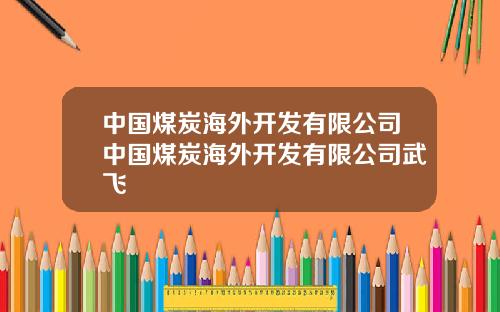 中国煤炭海外开发有限公司中国煤炭海外开发有限公司武飞