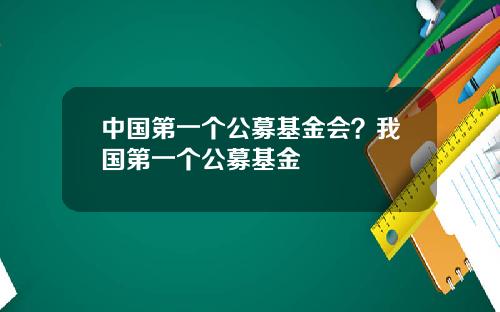 中国第一个公募基金会？我国第一个公募基金