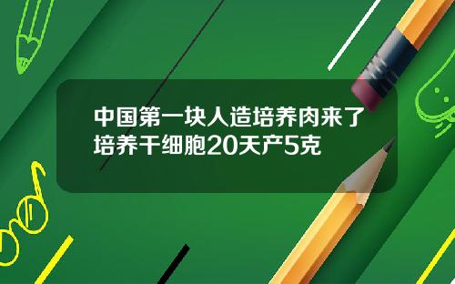 中国第一块人造培养肉来了培养干细胞20天产5克