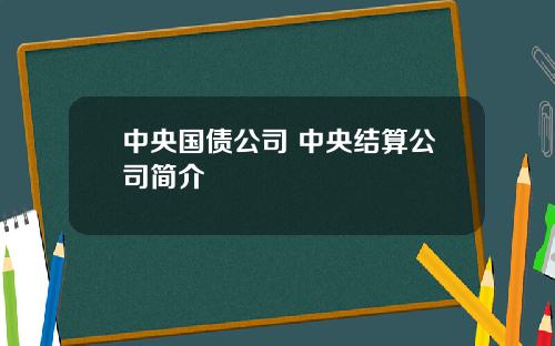 中央国债公司 中央结算公司简介