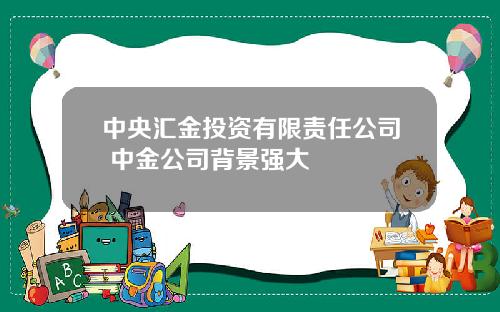 中央汇金投资有限责任公司 中金公司背景强大