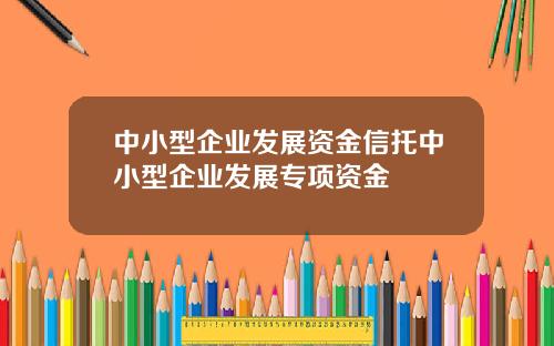 中小型企业发展资金信托中小型企业发展专项资金