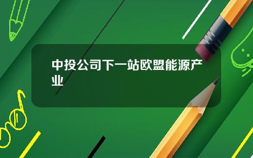 中投公司下一站欧盟能源产业