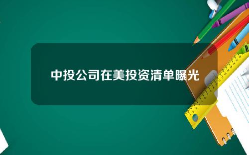 中投公司在美投资清单曝光