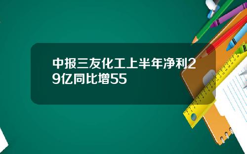 中报三友化工上半年净利29亿同比增55