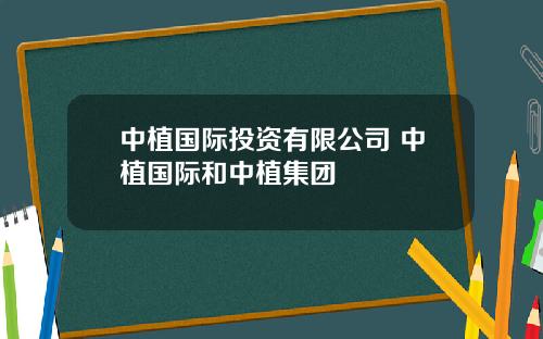 中植国际投资有限公司 中植国际和中植集团
