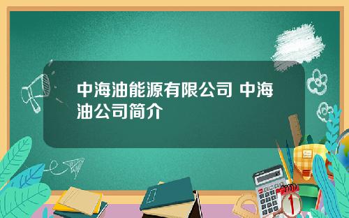 中海油能源有限公司 中海油公司简介