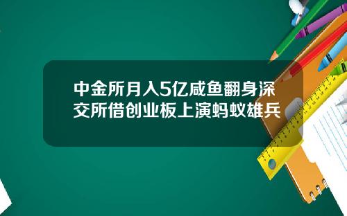 中金所月入5亿咸鱼翻身深交所借创业板上演蚂蚁雄兵