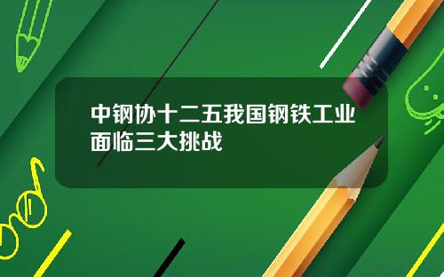 中钢协十二五我国钢铁工业面临三大挑战