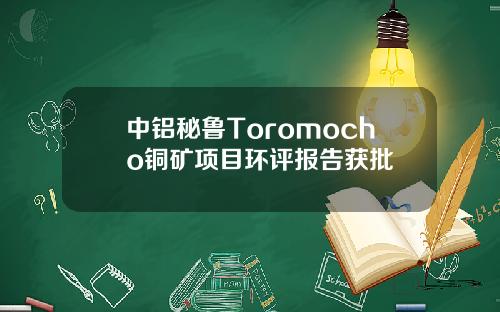 中铝秘鲁Toromocho铜矿项目环评报告获批